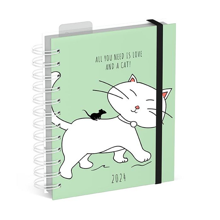 Lannoo agenda Cats Do It Yourself 14x16,5 cm 1week/2pag. online kopen